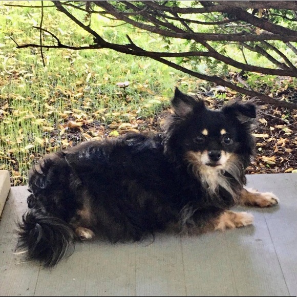 Meet your Posher, Janet - Picture 9 of 14